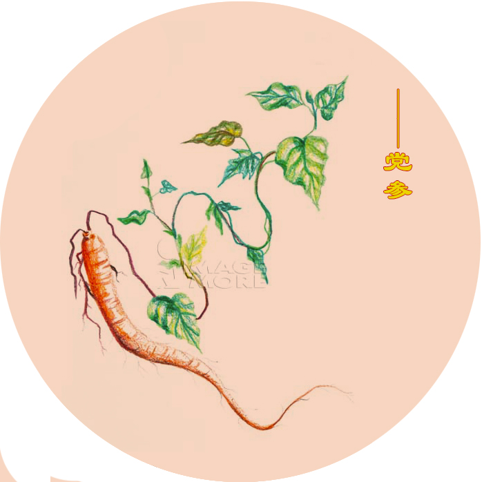 你肯定不知道中药还可以这么美