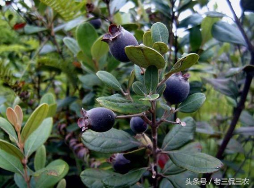 2017年赚钱那么难，不防试试这些赚钱门路，赚到了不用感谢我