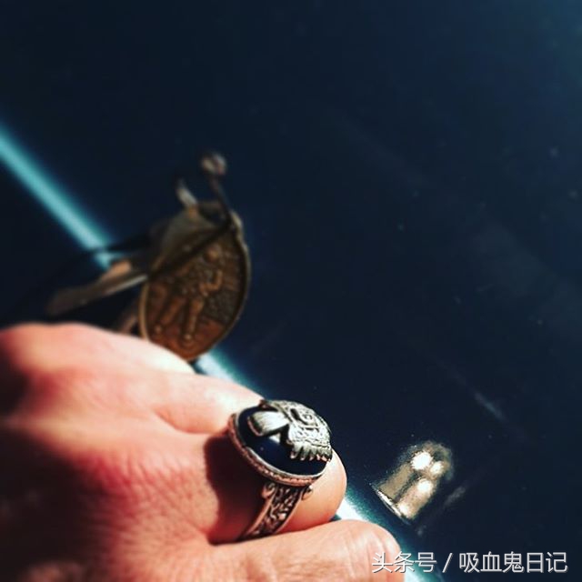 伊恩·萨默海尔德达蒙,吸血鬼日记达蒙和斯特凡扮演者