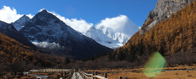 免费和低价旅游团，旅行社靠什么赚钱