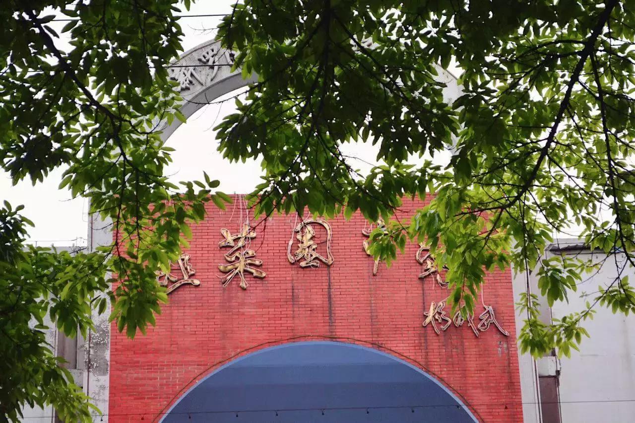 来龙岩必吃的清汤粉,龙岩最好吃的牛肉粉