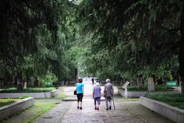 不花一分钱游遍中国,南京六个小众景点
