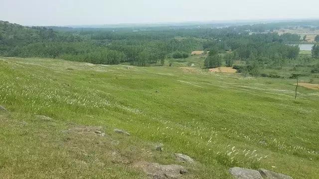 不花一分钱游遍中国,南京六个小众景点
