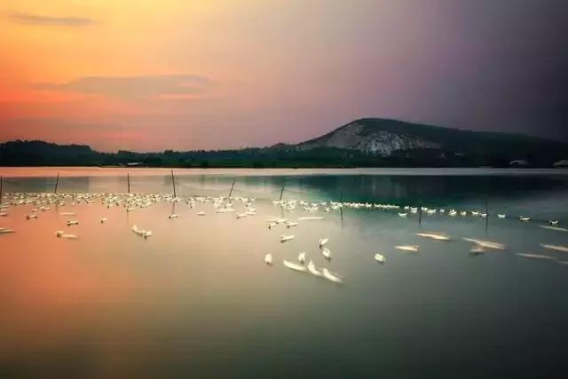 不花一分钱游遍中国,南京六个小众景点