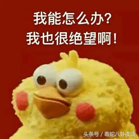 鹿晗仍然单身，给德智体美劳样样MAX的鹿晗征婚，你们要吗？