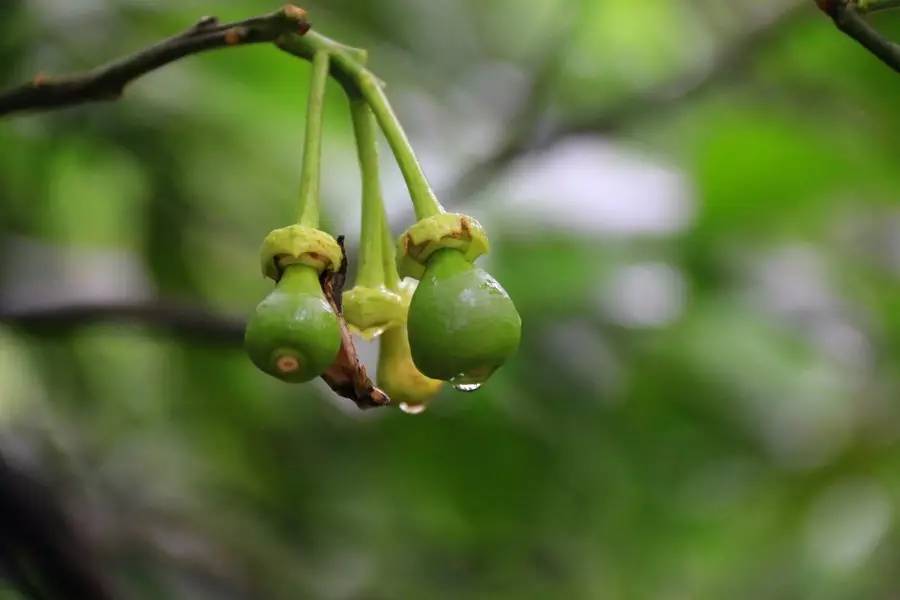 元宝山下，山水云间，悠悠闲云时光，恰好那时我也在