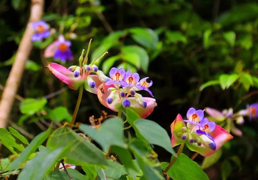 元宝山下，山水云间，悠悠闲云时光，恰好那时我也在