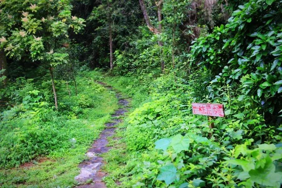 元宝山下，山水云间，悠悠闲云时光，恰好那时我也在