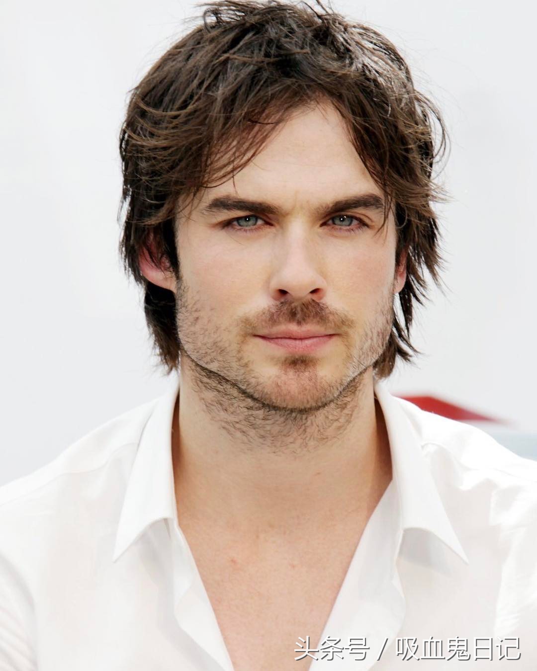 伊恩·萨默海尔德达蒙,吸血鬼日记达蒙和斯特凡扮演者