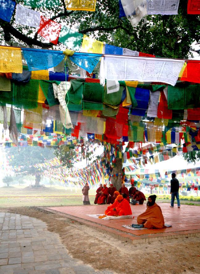 心嫁徐嘉良音乐,嫁尼泊尔医生老公