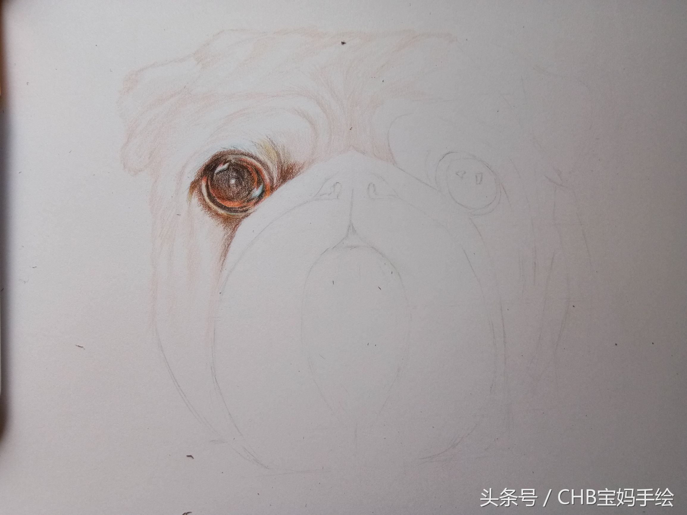 零基础学画漫画萌少女彩铅,零基础学铅笔画入门小狗