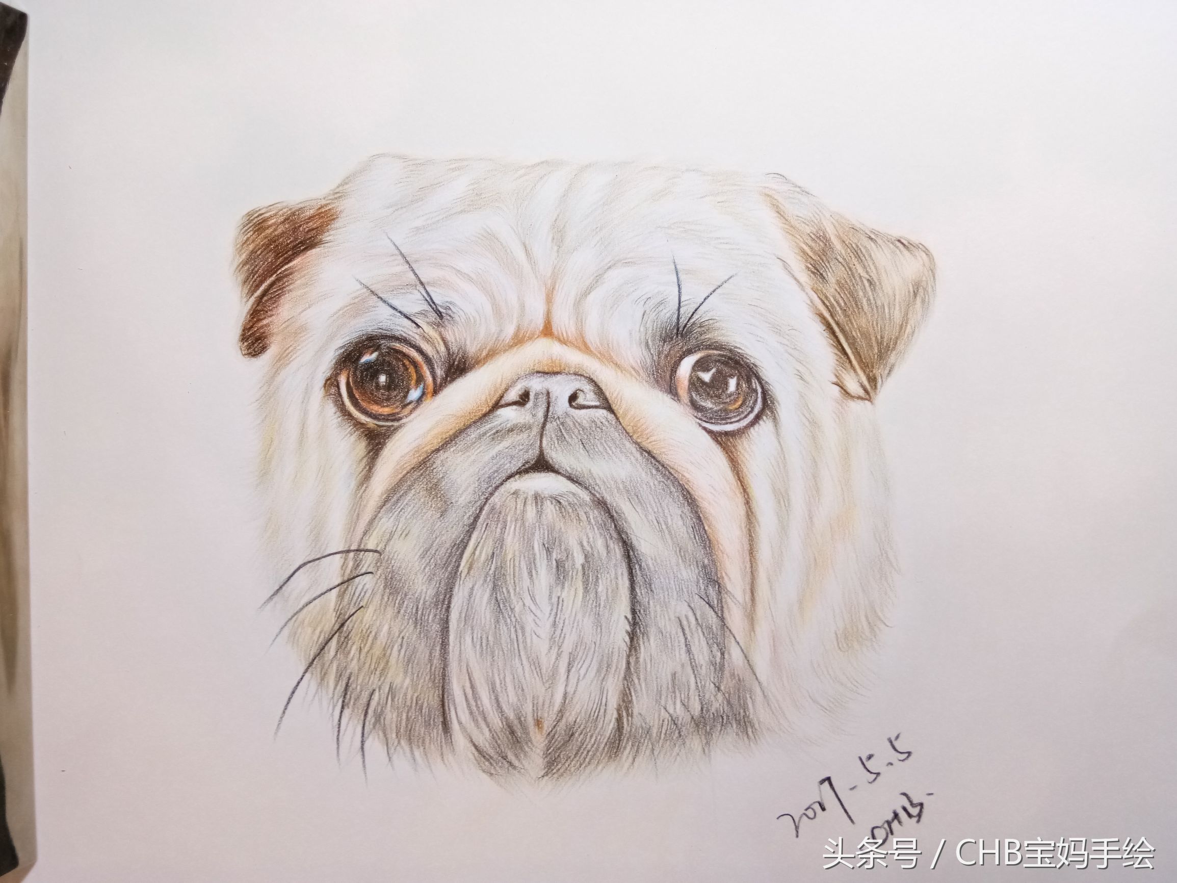 零基础学画漫画萌少女彩铅,零基础学铅笔画入门小狗