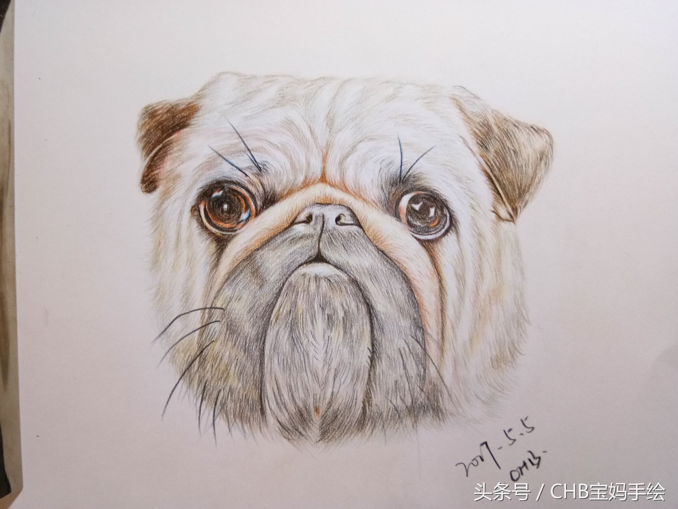 零基础学画漫画萌少女彩铅,零基础学铅笔画入门小狗