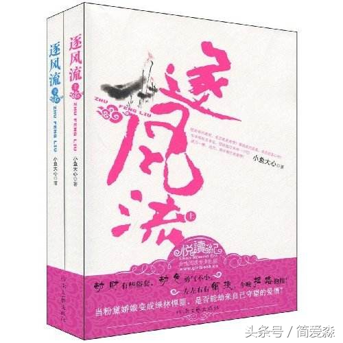 女追男搞笑的小说,穿越女追男小说