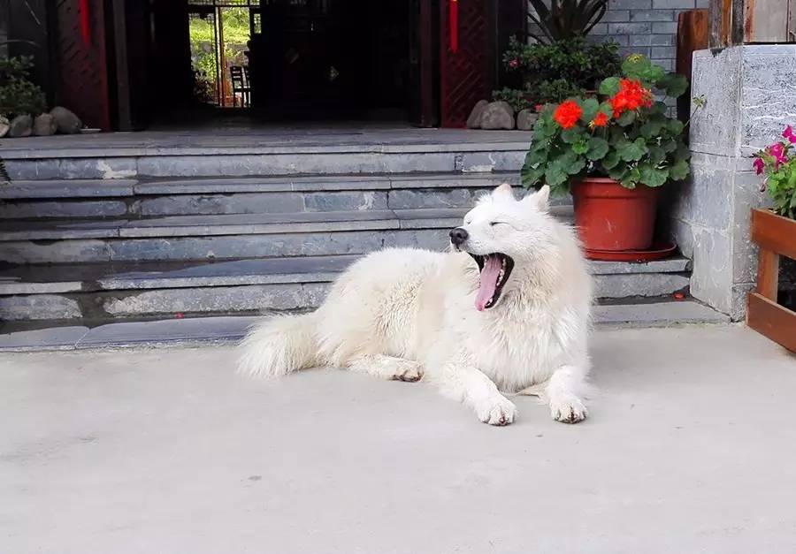 元宝山下，山水云间，悠悠闲云时光，恰好那时我也在