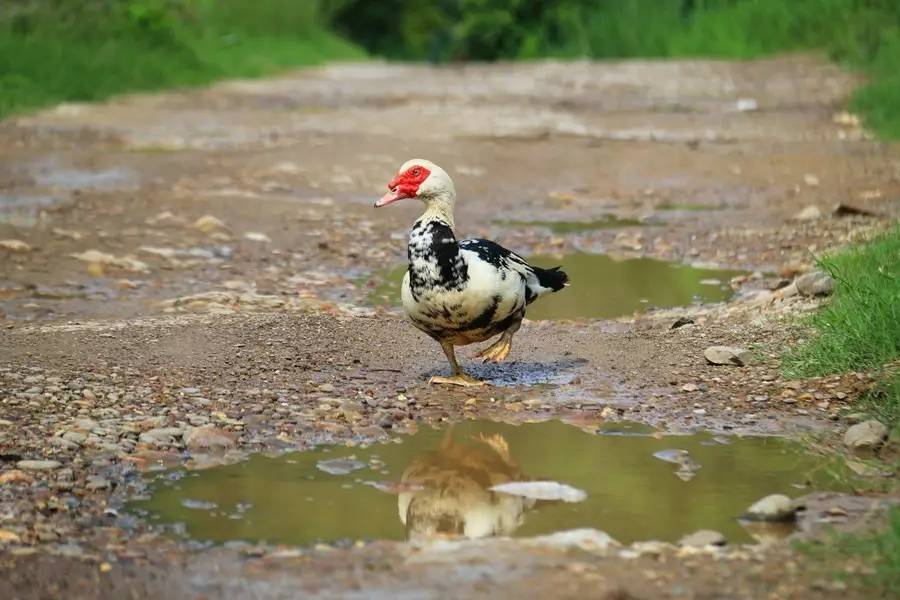 元宝山下，山水云间，悠悠闲云时光，恰好那时我也在