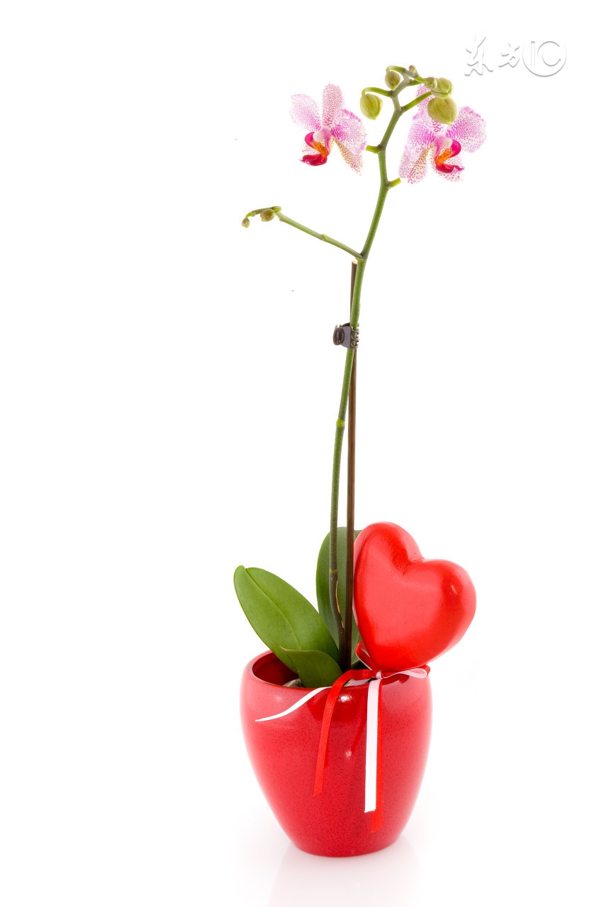 孩子爱提问,孩子爱答不理的沟通