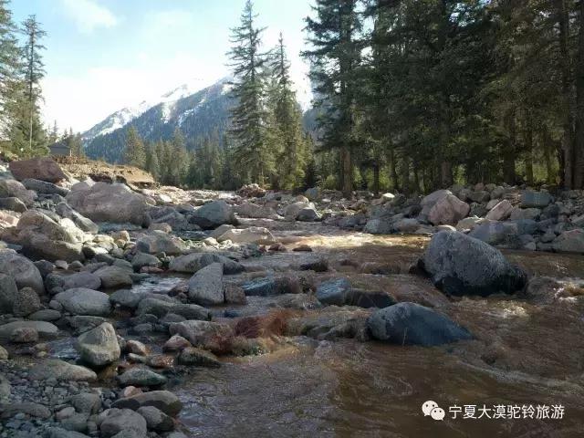 五月开始新的旅程,西北大漠驼铃