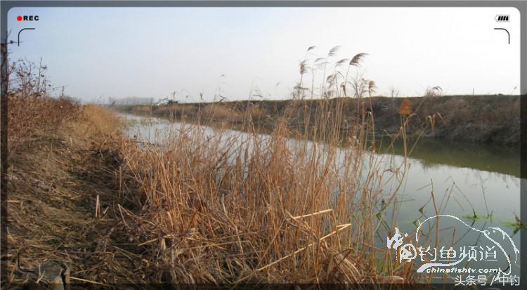 放流才有路亚的乐趣,放流能让资源更丰富