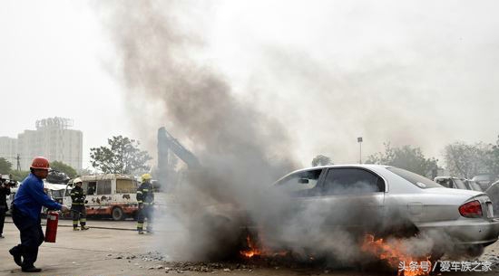 又到了“大雪纷飞”的季节，今天教你们如何自制防杨棉中网