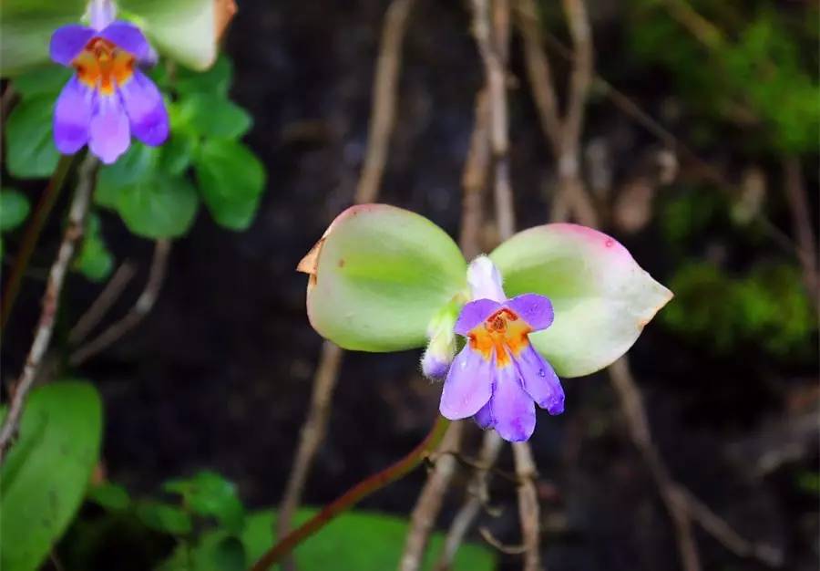 元宝山下，山水云间，悠悠闲云时光，恰好那时我也在