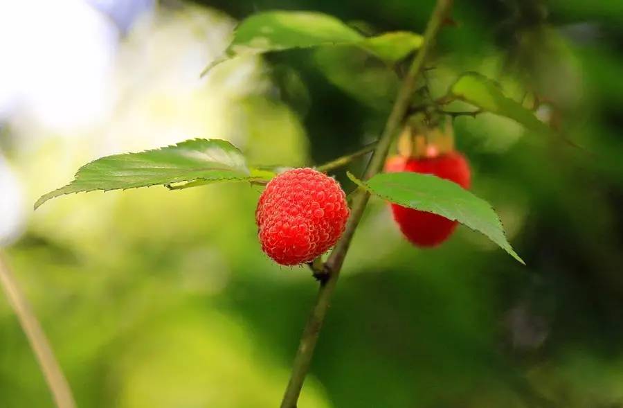 元宝山下，山水云间，悠悠闲云时光，恰好那时我也在