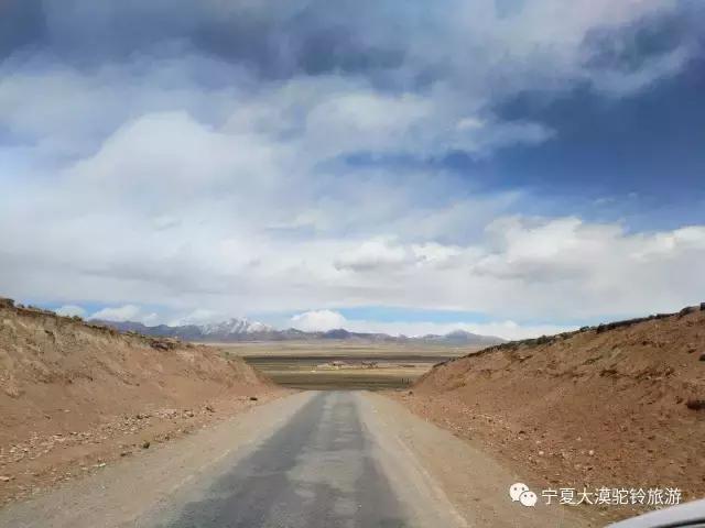 五月开始新的旅程,西北大漠驼铃