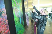 最美云台山风景区,自然之美云台山