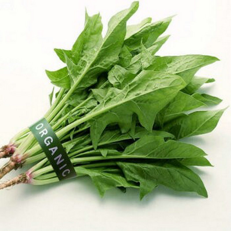 怀孕前三个月关注事项和生活禁忌,怀孕前三个月孕妈应关注什么事项