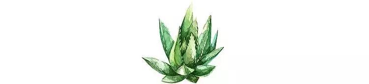 为了自己的皮肤，这位小伙却在“毁容线”上，寻找了3300公里