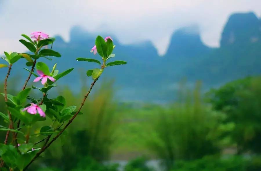 元宝山下，山水云间，悠悠闲云时光，恰好那时我也在