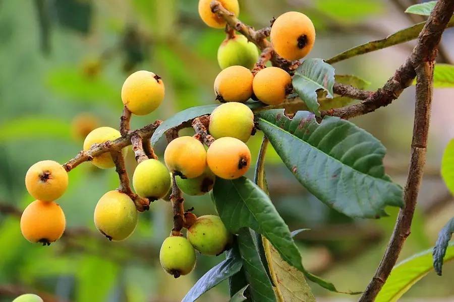 元宝山下，山水云间，悠悠闲云时光，恰好那时我也在