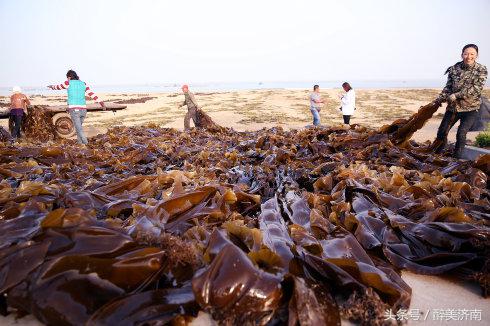 实拍：被俄罗斯美女帅哥酷爱的中国房车是什么样子