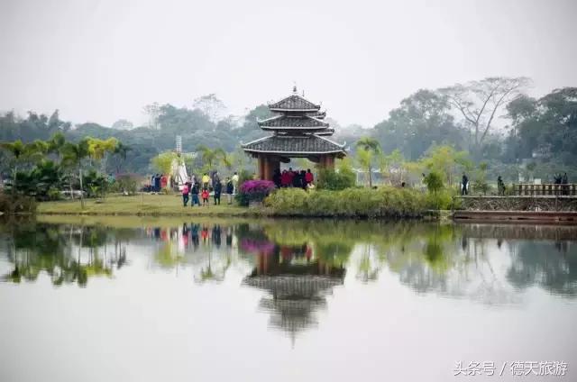现在南宁去哪里赏花,南宁到武鸣采摘