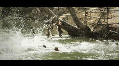 现在南宁去哪里赏花,南宁到武鸣采摘