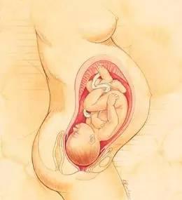 助产士教你正确分娩,金牌助产士简要事迹