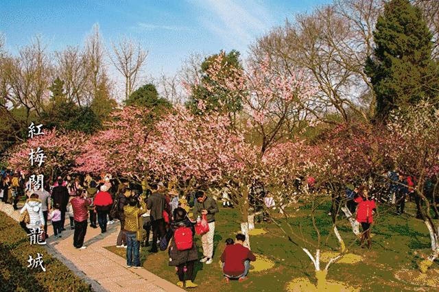 常州恐龙园附近高档酒店,常州桔子水晶酒店恐龙园店