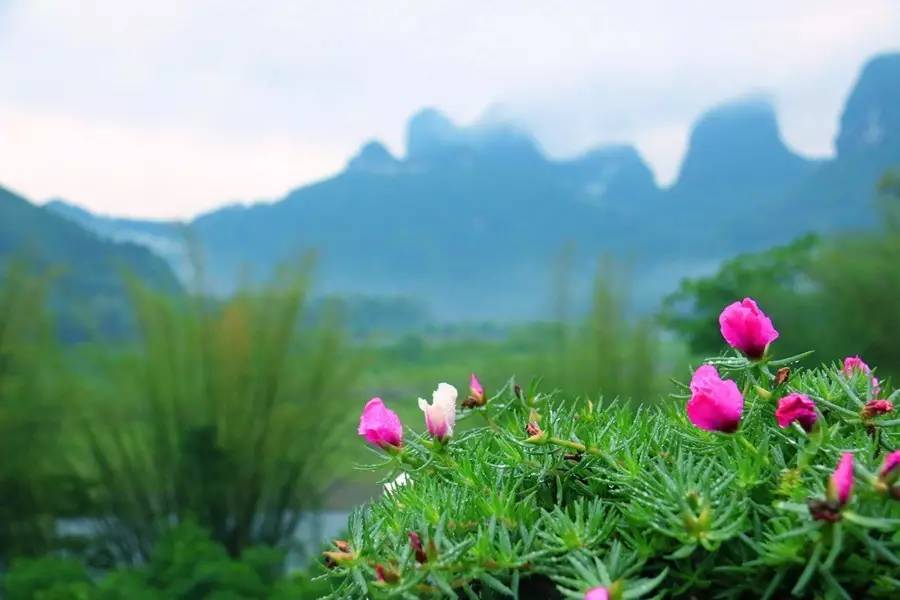 元宝山下，山水云间，悠悠闲云时光，恰好那时我也在