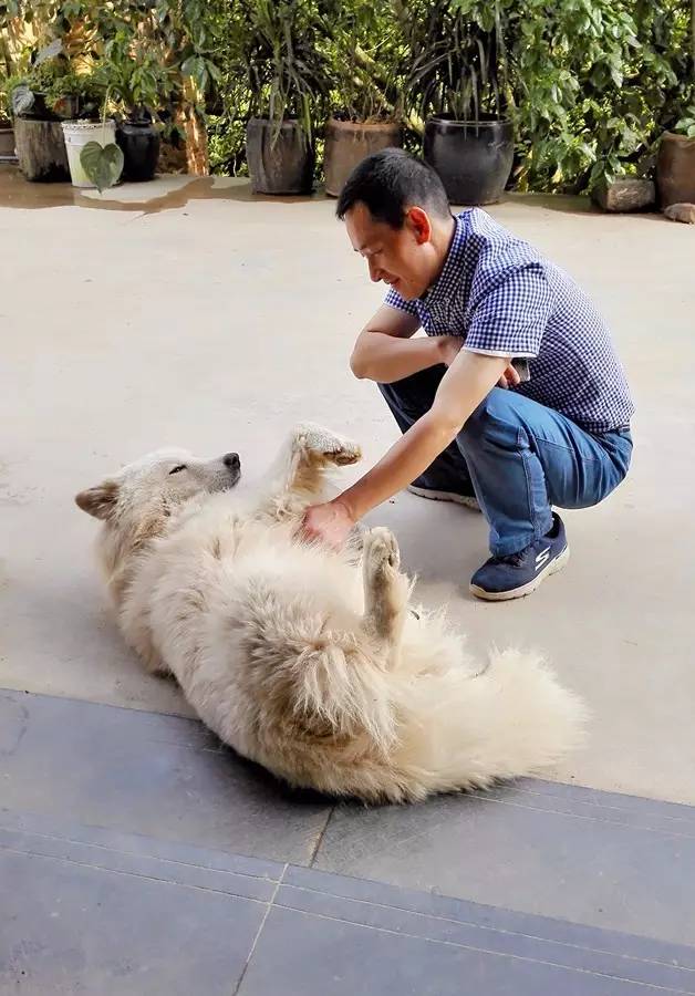 元宝山下，山水云间，悠悠闲云时光，恰好那时我也在