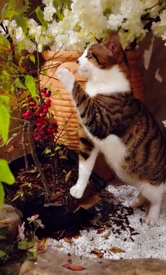 元宝山下，山水云间，悠悠闲云时光，恰好那时我也在