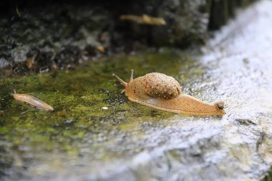 元宝山下，山水云间，悠悠闲云时光，恰好那时我也在