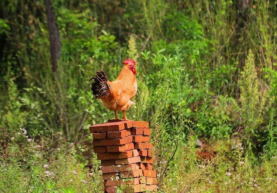 元宝山下，山水云间，悠悠闲云时光，恰好那时我也在