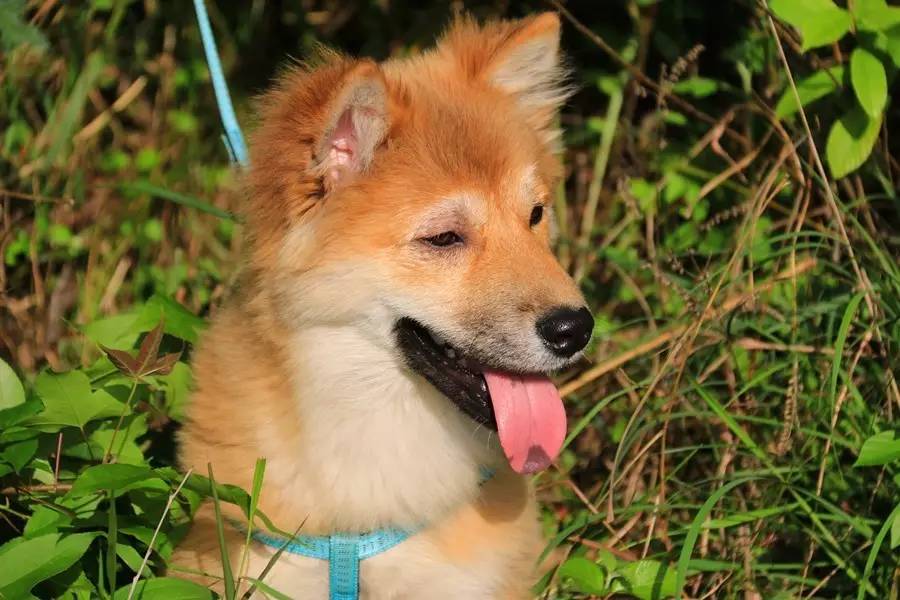 元宝山下，山水云间，悠悠闲云时光，恰好那时我也在