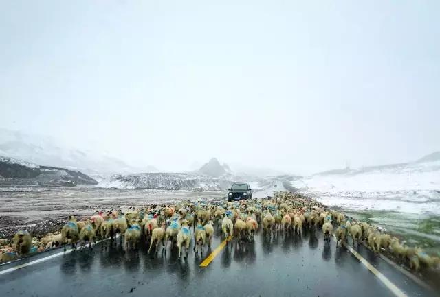 五月开始新的旅程,西北大漠驼铃