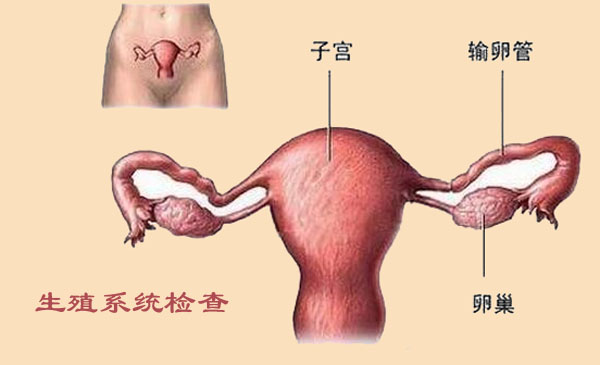 备孕必做检查准爸准妈千万别轻忽,孕前优生优育检查项目有哪些