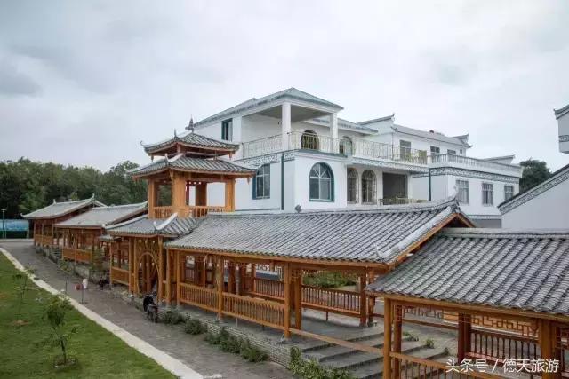 现在南宁去哪里赏花,南宁到武鸣采摘