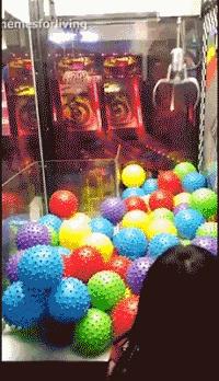 囧吐槽：撸猫影响学习，还是撸狗吧