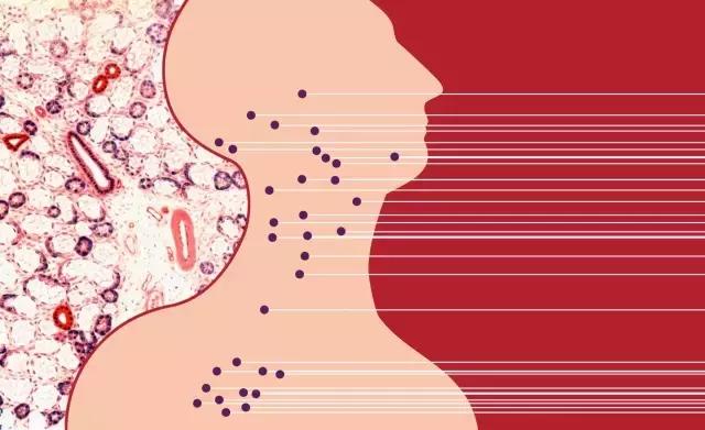 救急的四个小技巧,教你3个急救法