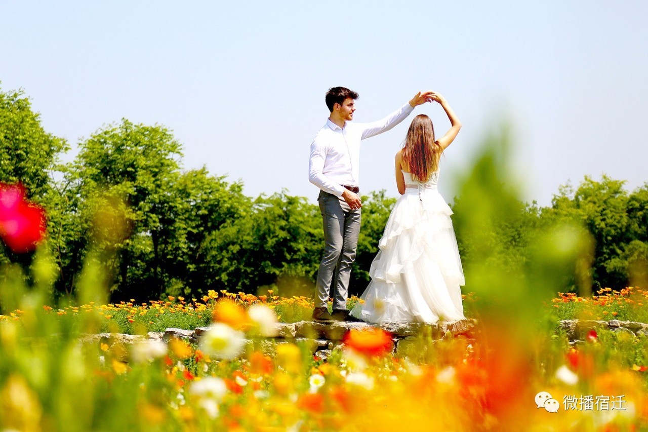 三台山五月盛开的花,5月宿迁三台山开什么花