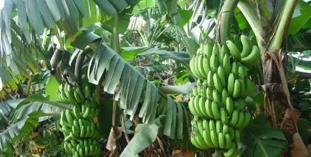 海南环线旅游攻略必去景点推荐,海南旅游攻略必去景点推荐日月湾